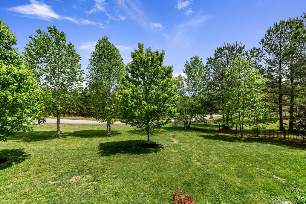 Blairsville, Georgia, 30512, United States, 4 Bedrooms Bedrooms, ,3 BathroomsBathrooms,Residential,For Sale,1876280