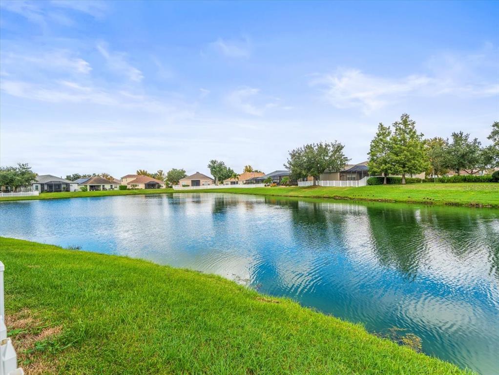 Wesley Chapel, Florida, 33545, United States, 4 Bedrooms Bedrooms, ,2 BathroomsBathrooms,Residential,For Sale,1962993