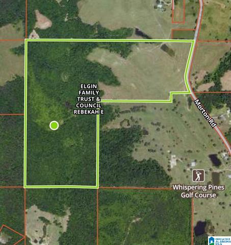 Oneonta, Alabama, 35121, United States, ,Residential,For Sale,1873230