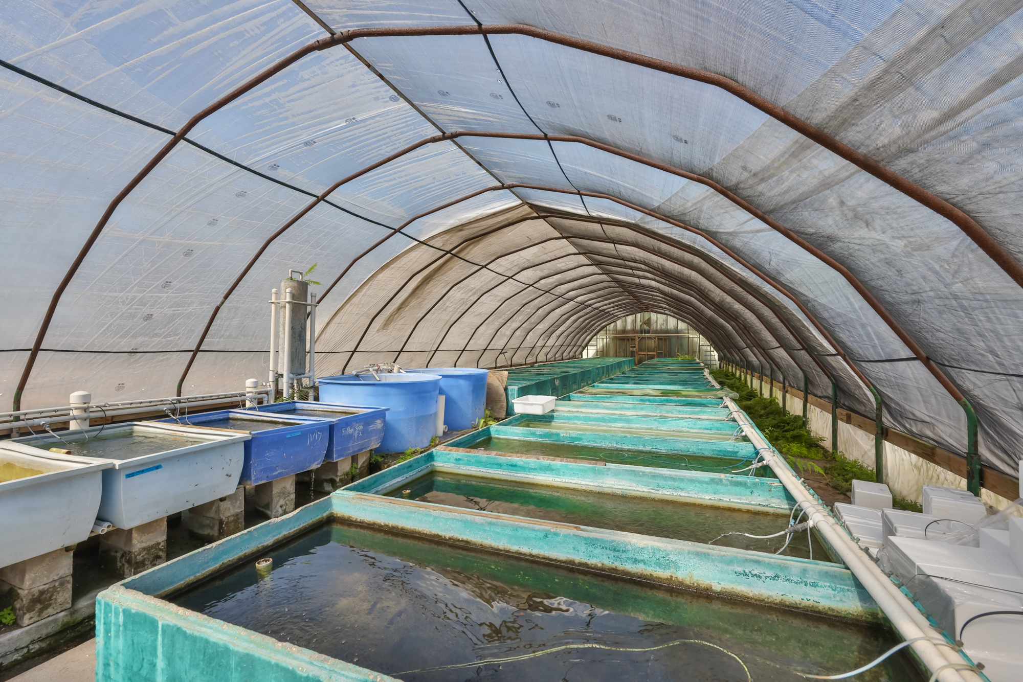 Wimauma, Florida, 33598, United States, 3 Bedrooms Bedrooms, ,2 BathroomsBathrooms,Residential,For Sale,2016610