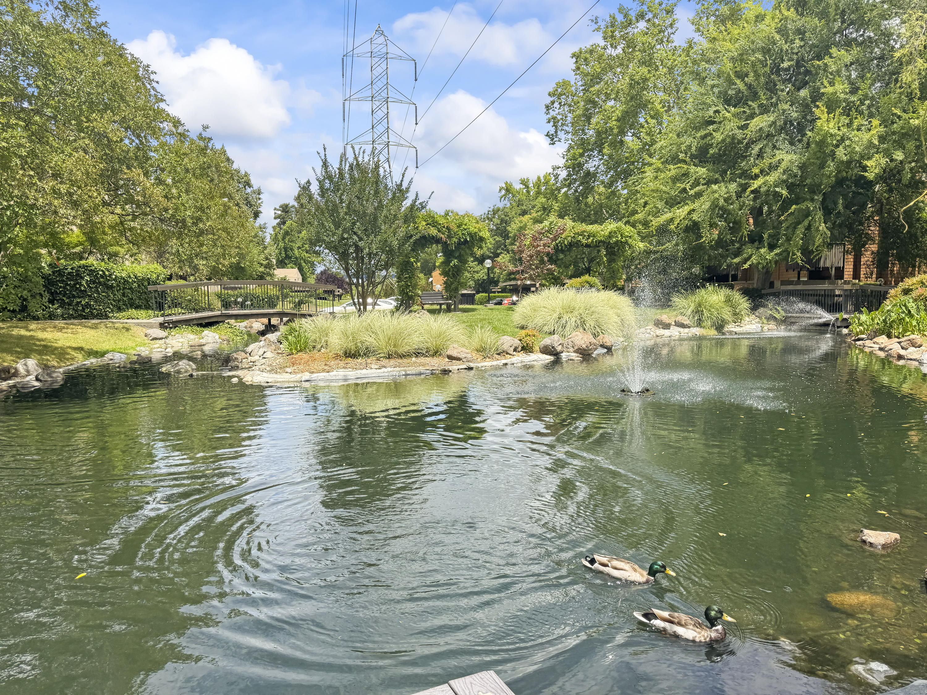  709 Woodside Lane East #2, Sacramento, CA 95825 - 物件實景