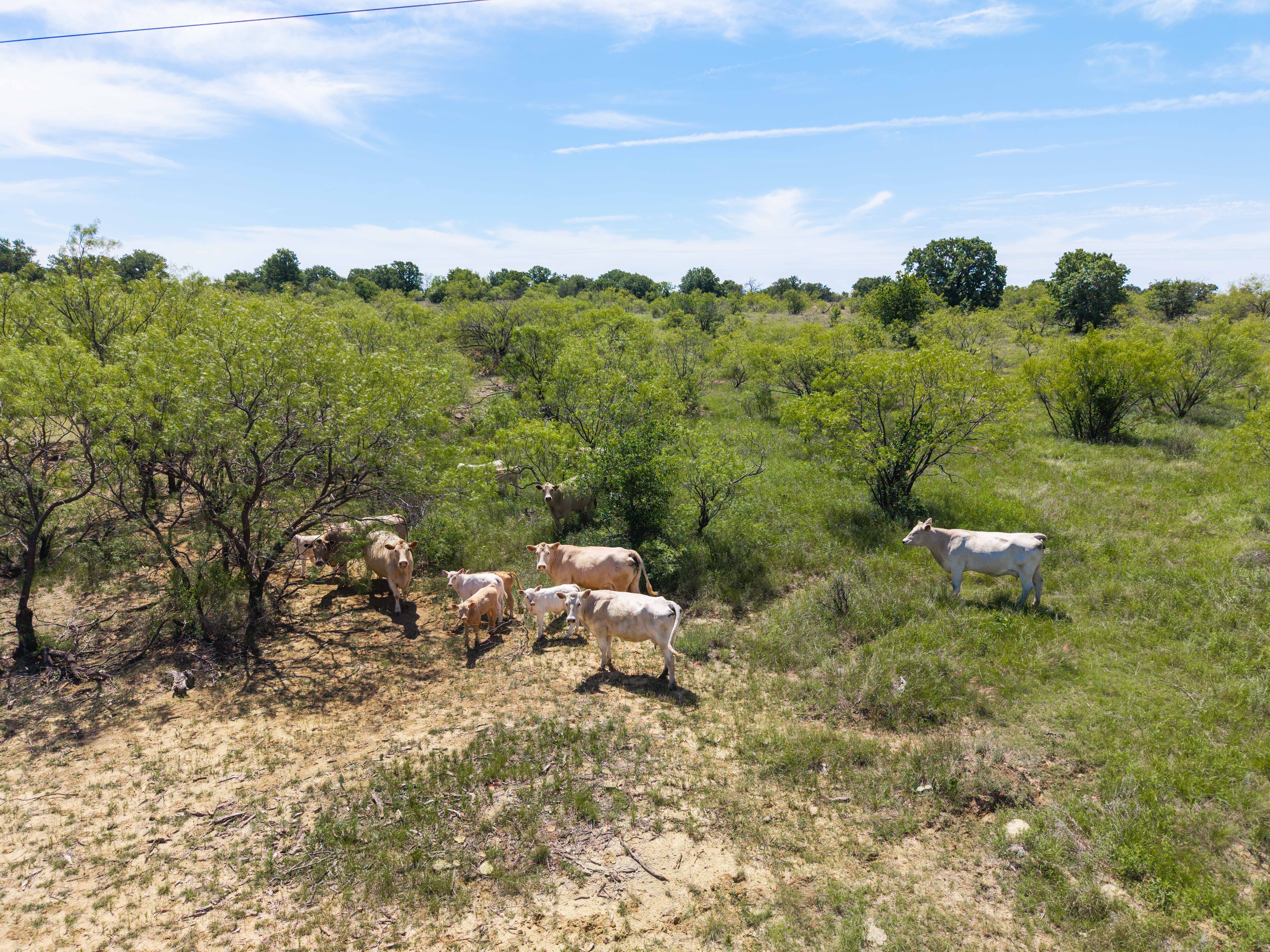  7582 Fm 2652, Loving, TX, 76460 - 物件實景