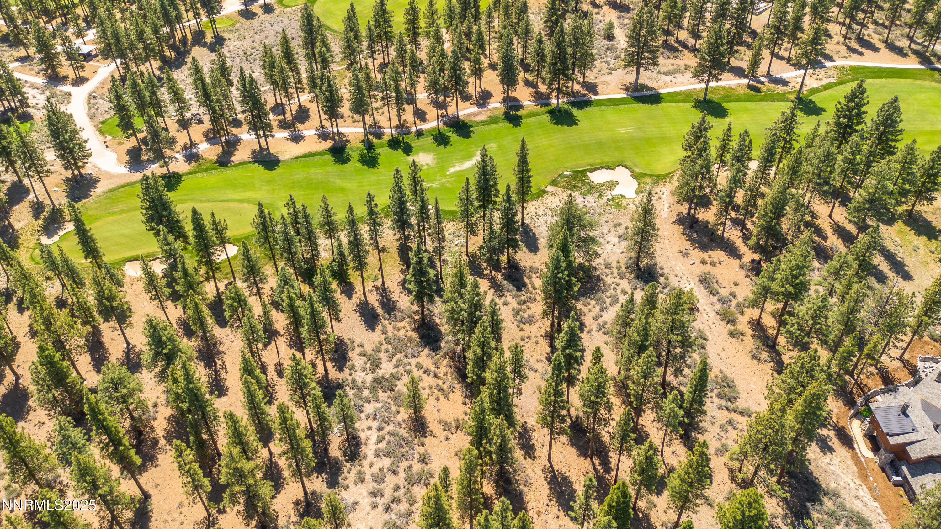 Carson City, Nevada, 89705, United States, ,Land,For Sale,1846834