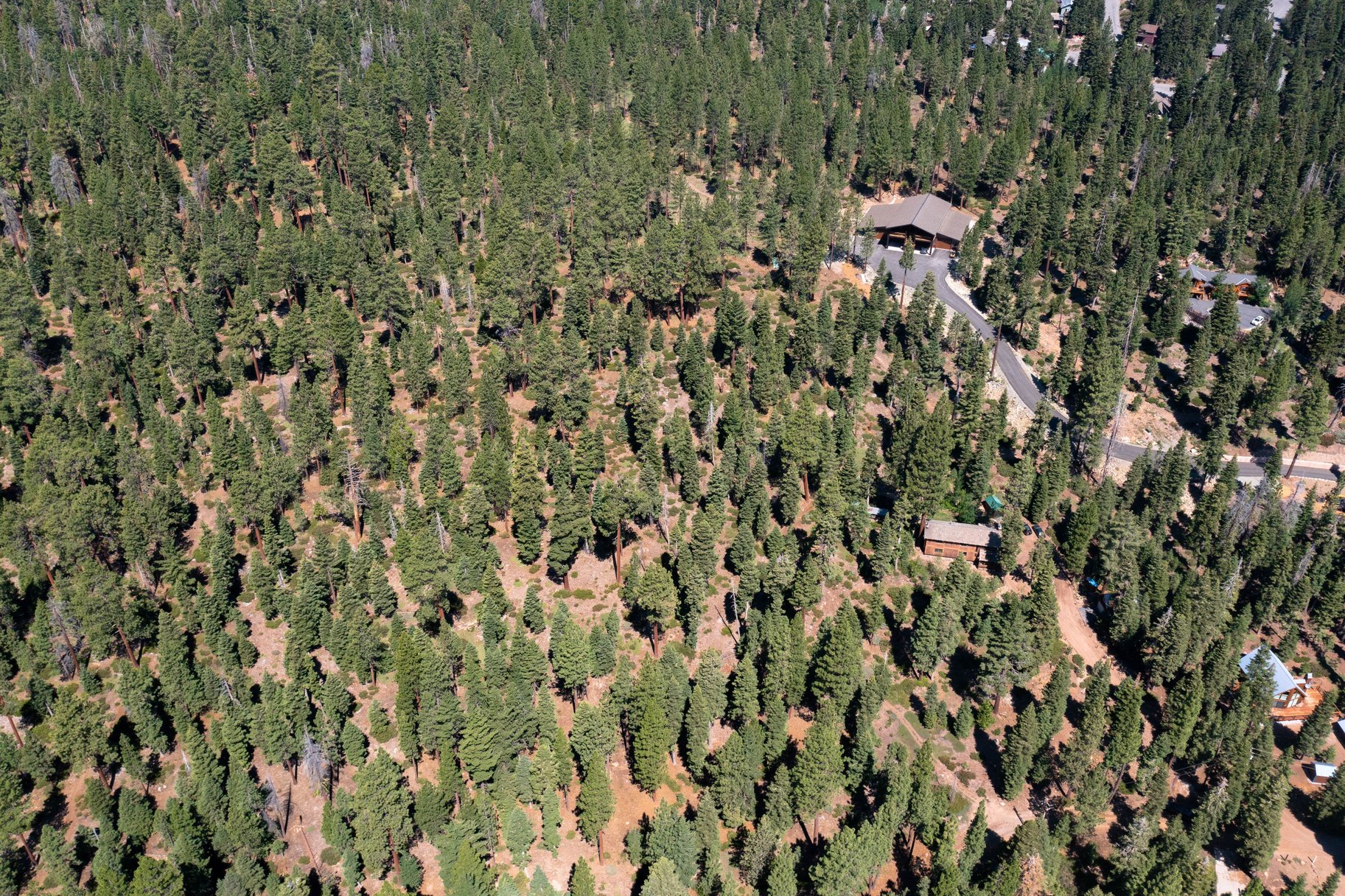  Rare, 10-acre parcel with house minutes from Tahoe City - 物件實景