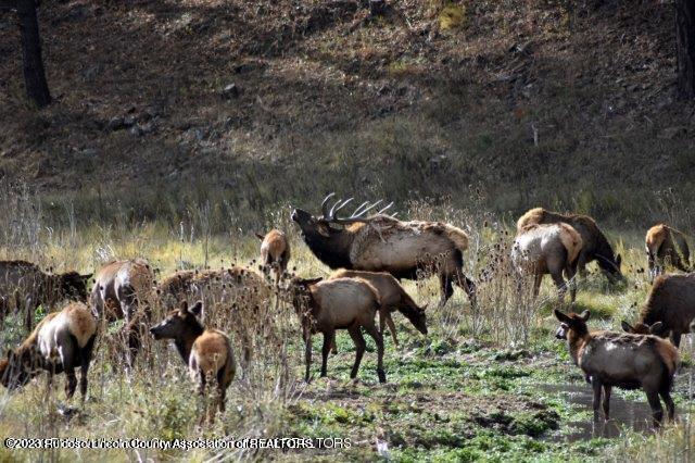 100 Sir Galahad Drive 2, 3 & 4, Ruidoso, New Mexico, 88345, United States, ,Land,For Sale,100 Sir Galahad Drive 2,3 & 4,1613976