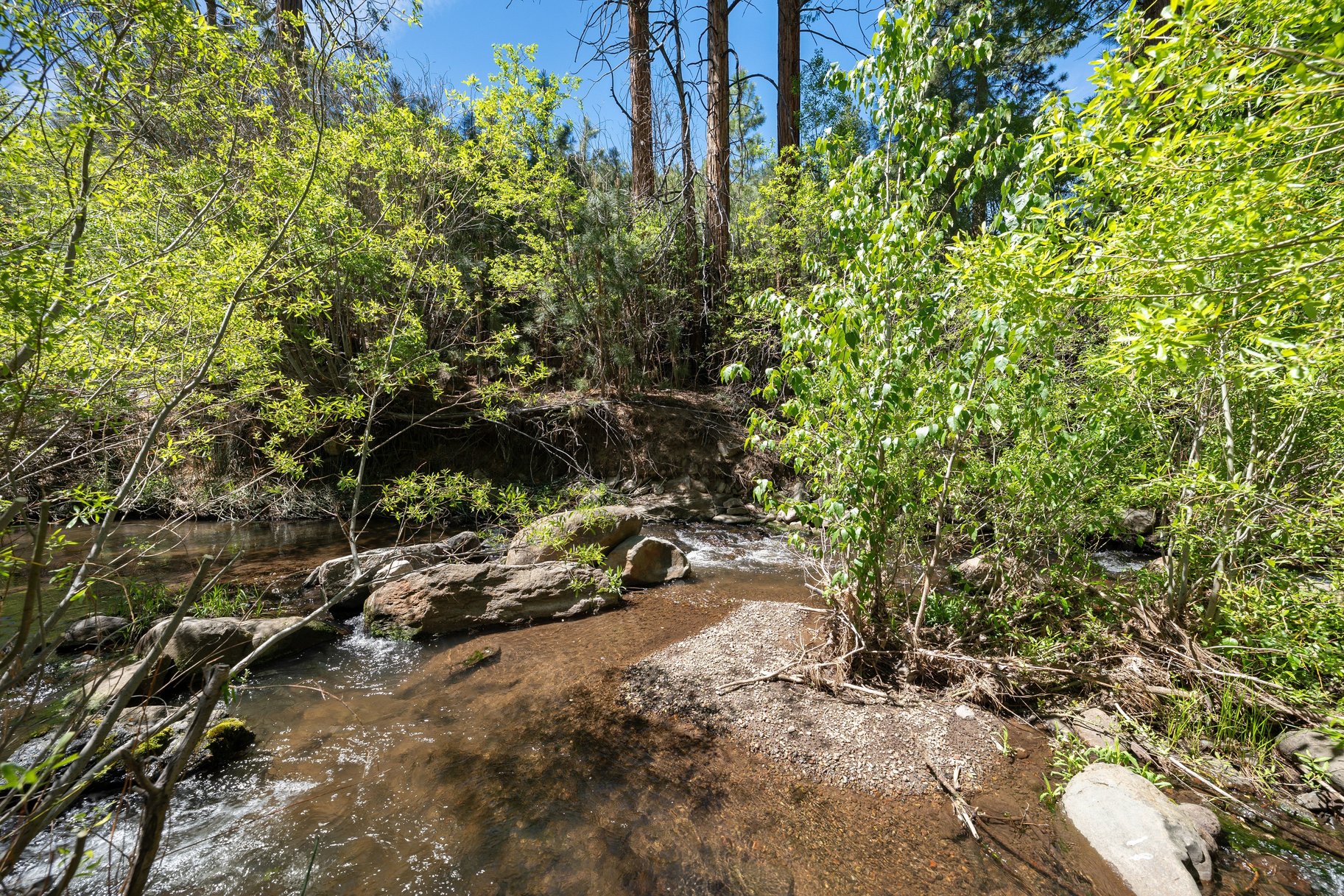  Sweet home on 1.24 acres in Sierra Brooks - 物件實景