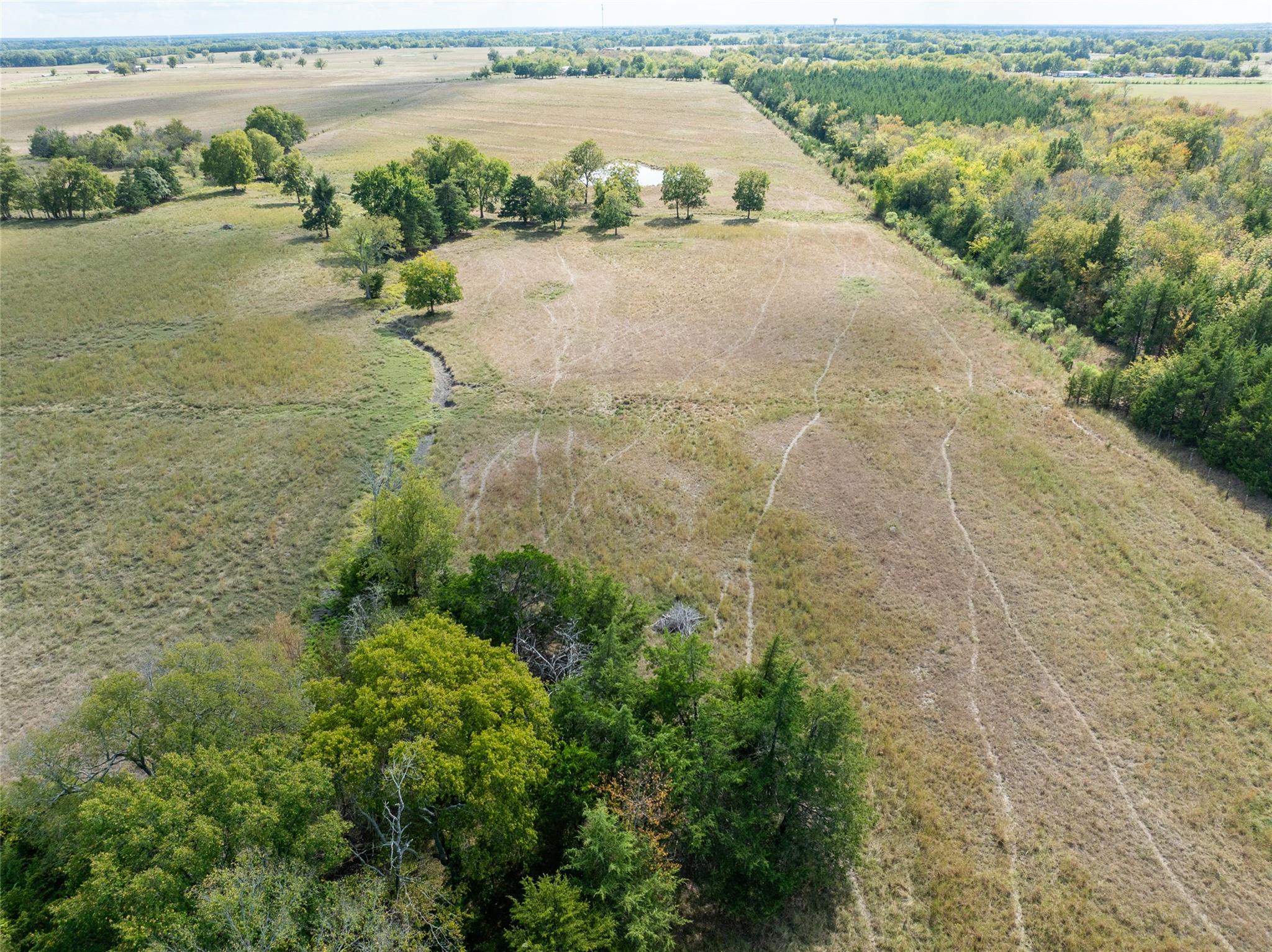 Blossom, Texas, 75416, United States, ,Residential,For Sale,1977937