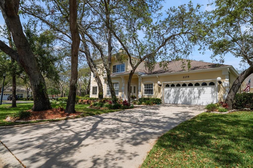 Palm Harbor, Florida, 34683, United States, 2 Bedrooms Bedrooms, ,3 BathroomsBathrooms,Residential,For Sale,1795072