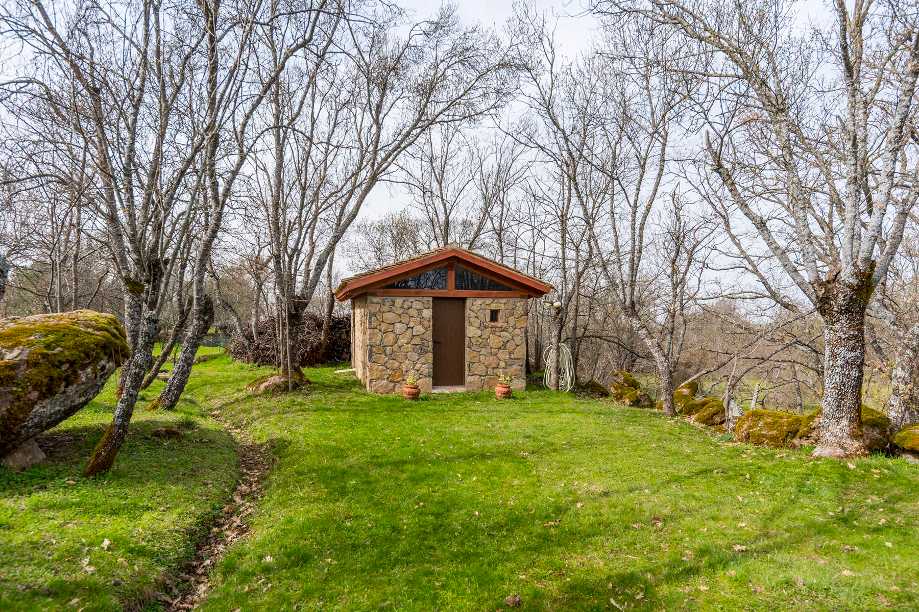  Spectacular estate for promotion in Sotosalbos, Segovia - 物件實景