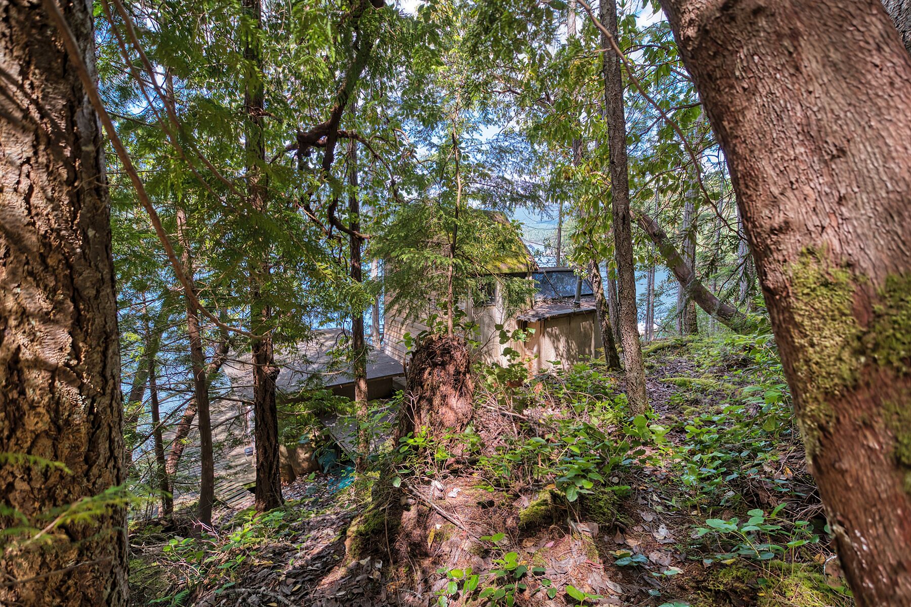  Sechelt, Sunshine Coast - 物件實景