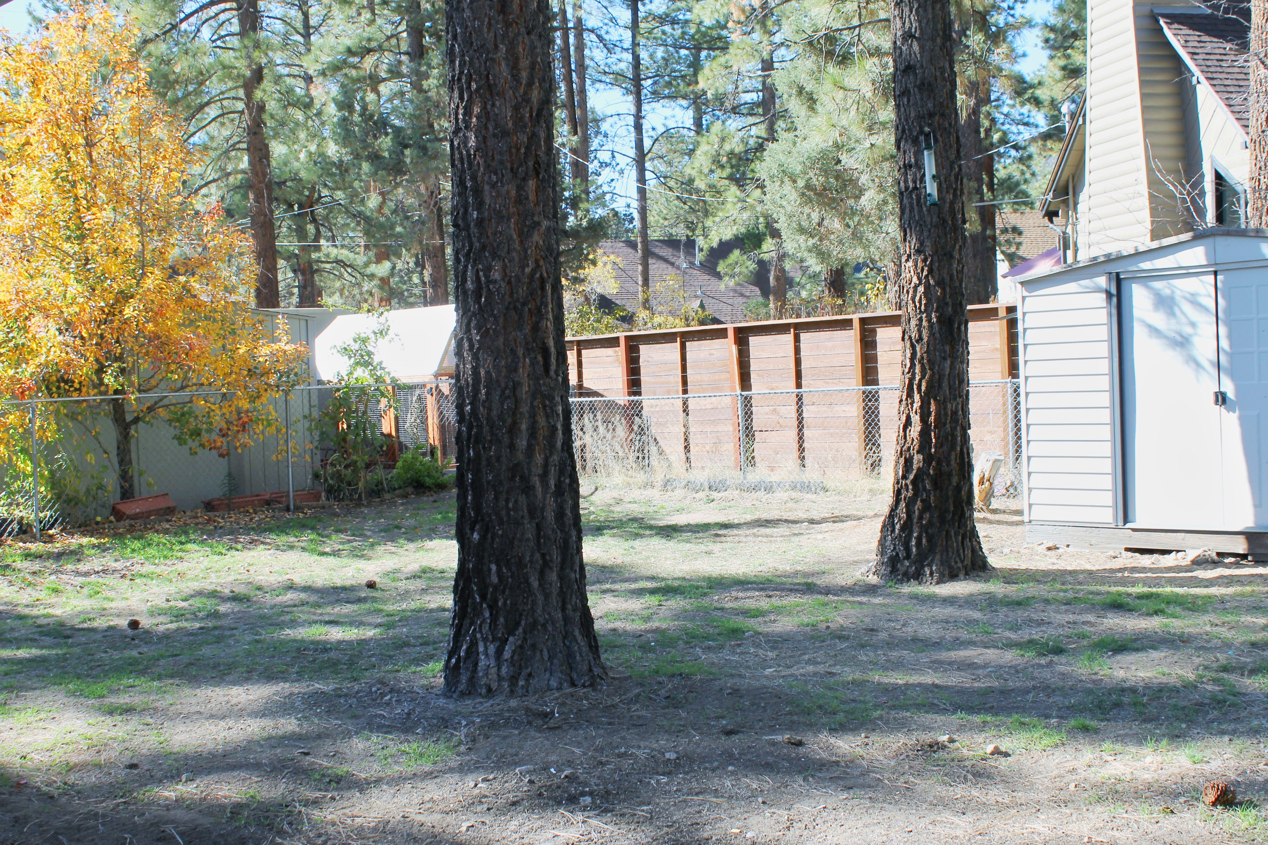  413 West North Shore Drive, Big Bear, CA 92314 - 物件實景