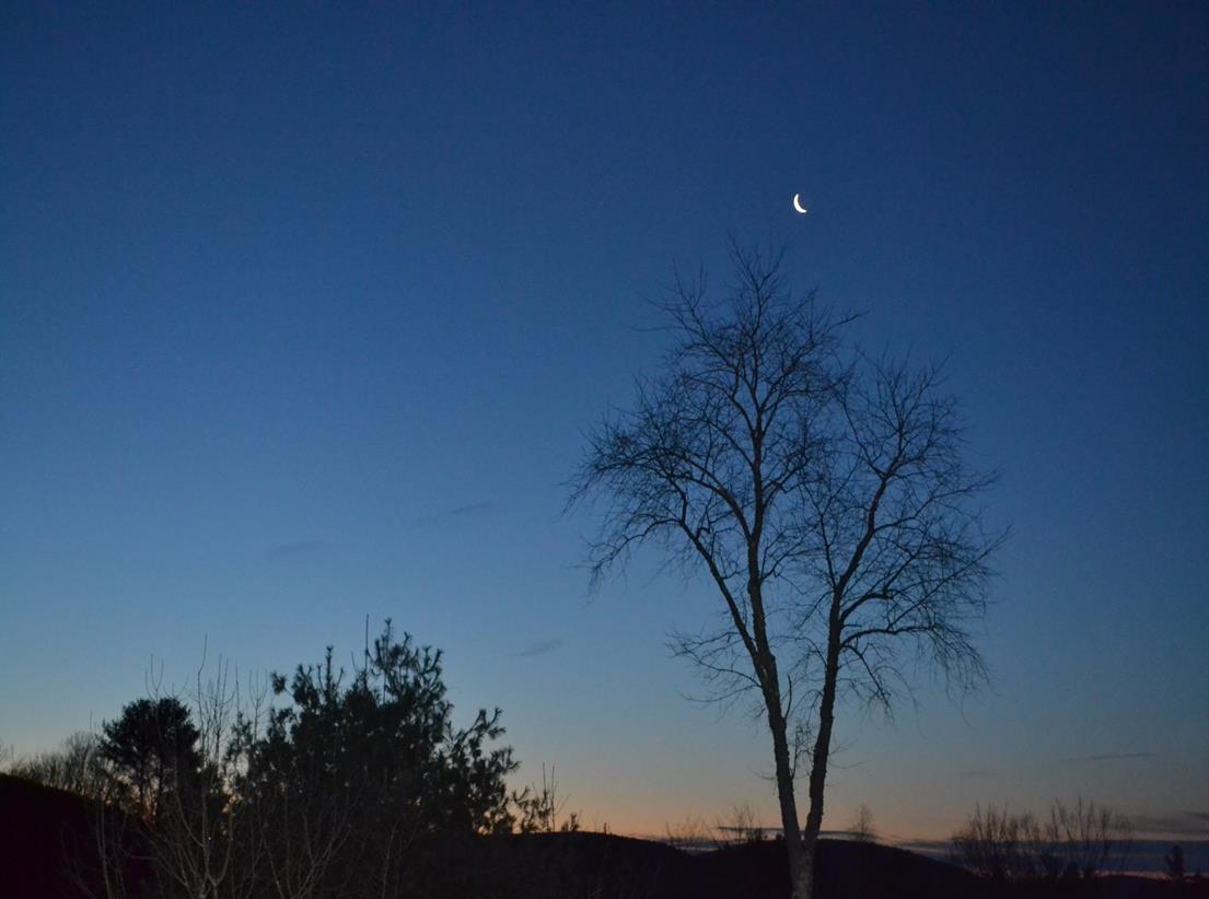 Winchester, New Hampshire, 03470, United States, 3 Bedrooms Bedrooms, ,2 BathroomsBathrooms,Residential,For Sale,2001940