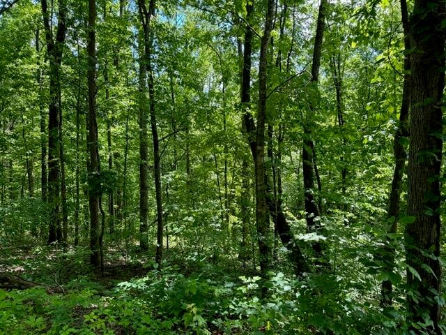 Sevierville, Tennessee, 37876, United States, 13 Bedrooms Bedrooms, ,14 BathroomsBathrooms,Residential,For Sale,1974606