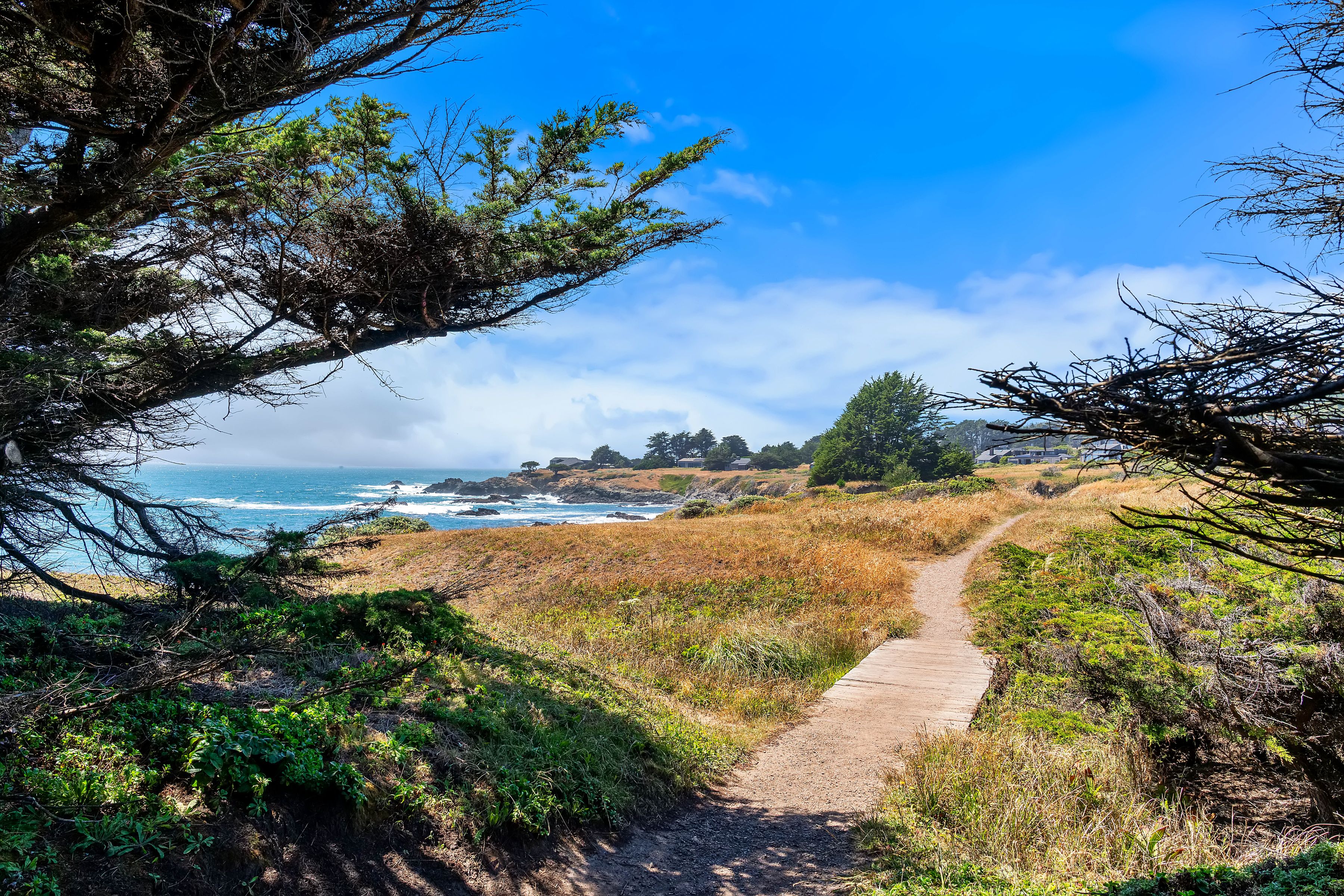  35926 Seaward Ranch, The Sea Ranch, CA 95497 - 物件實景
