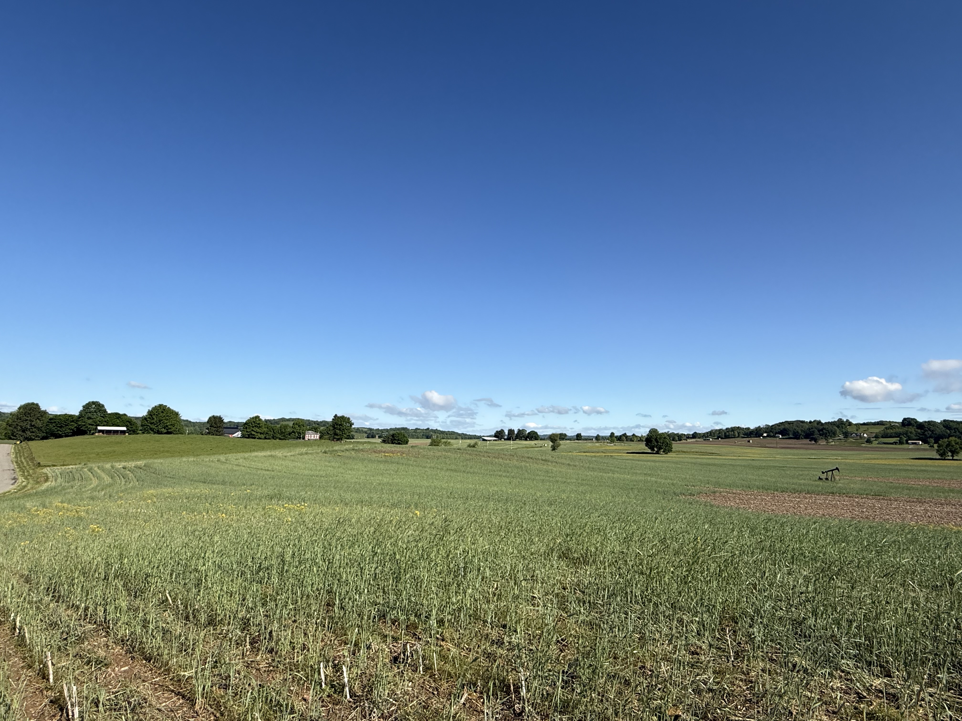 West Lafayette, Ohio, 43845, United States, ,Residential,For Sale,1825407