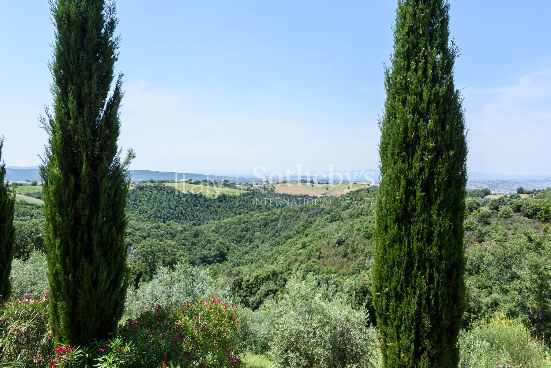  Enchanting property in maremma with vineyards and sea view - 物件實景