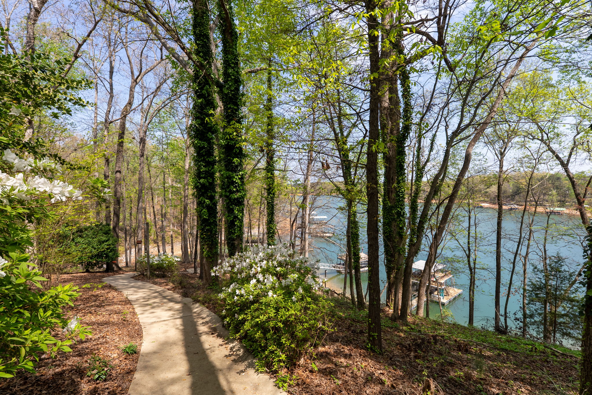  1002 Whitfield Point Road, Anderson, SC 29626 - 物件實景