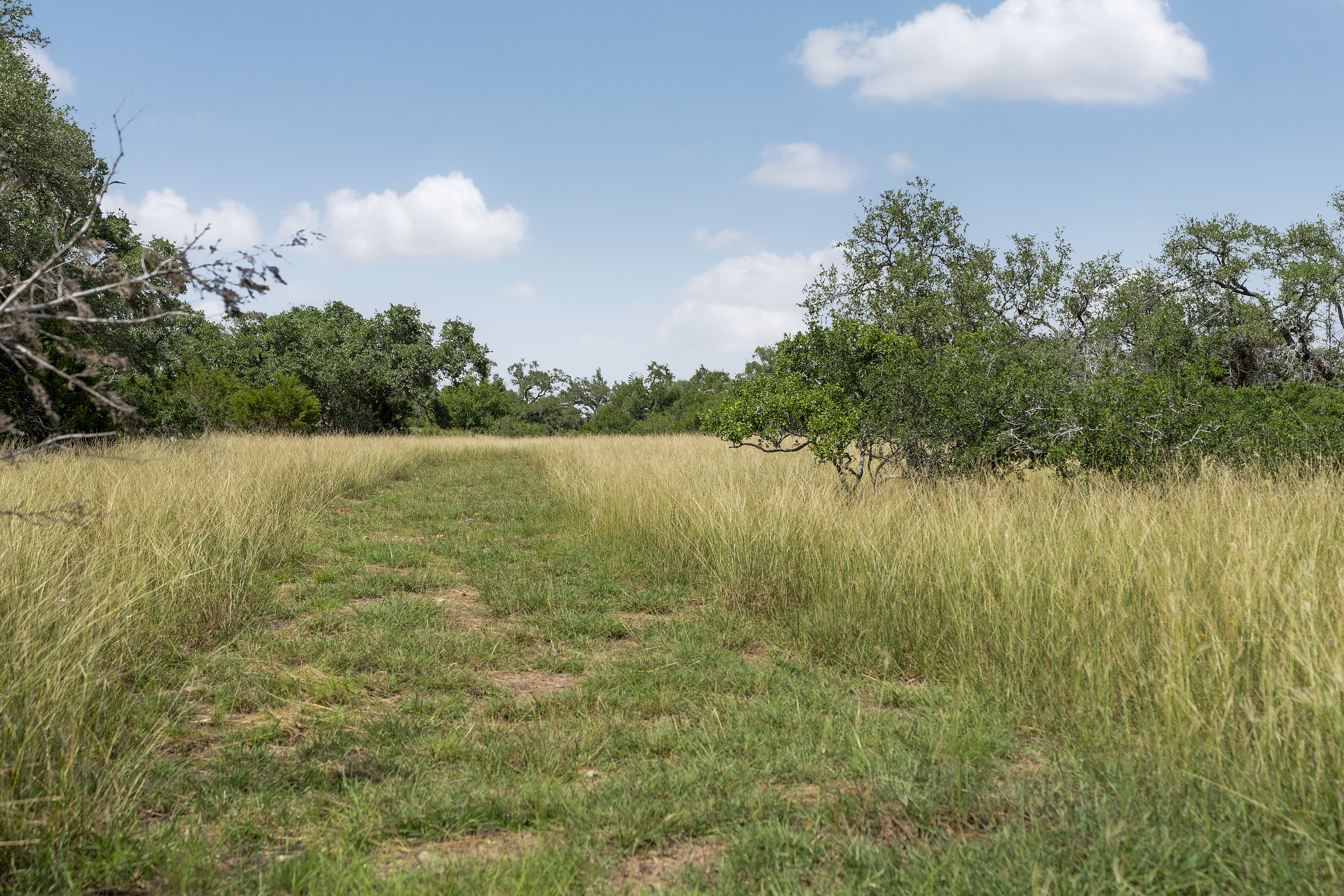  A Modern Hill Country Retreat on 5 Lush Acres - 物件實景