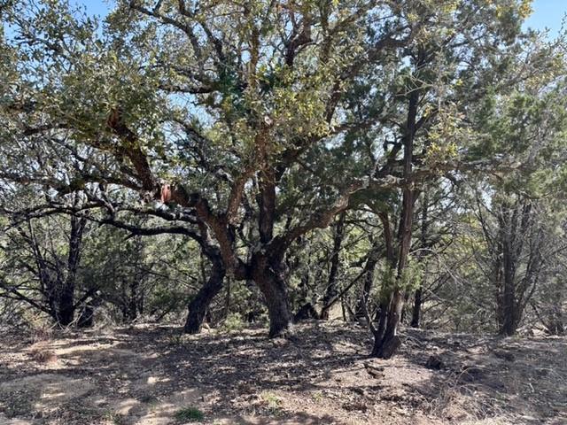 Wimberley, Texas, 78676, United States, ,Land,For Sale,2005338