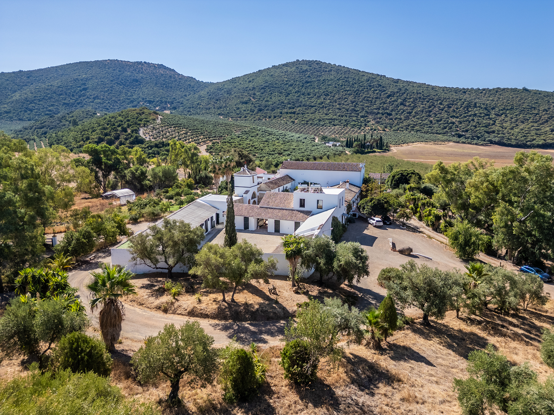  Country house in the province of Cádiz - 物件實景