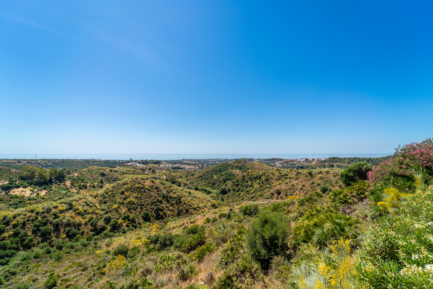  Exceptional development opportunity in El Real de La Quinta - 物件實景