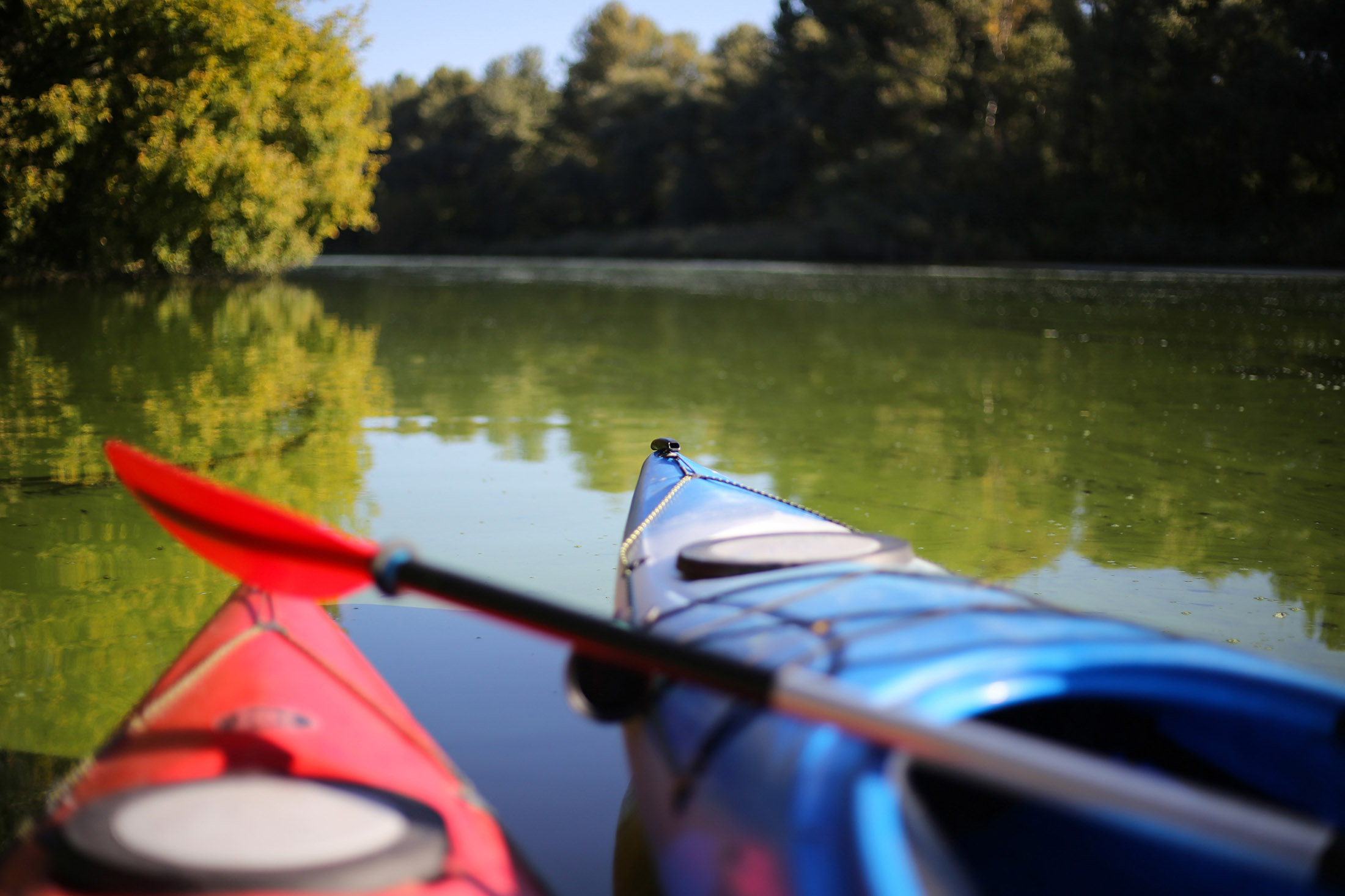  Experience Unrivaled Luxury and Serenity in This One-of-a-Kind Estate - 物件實景