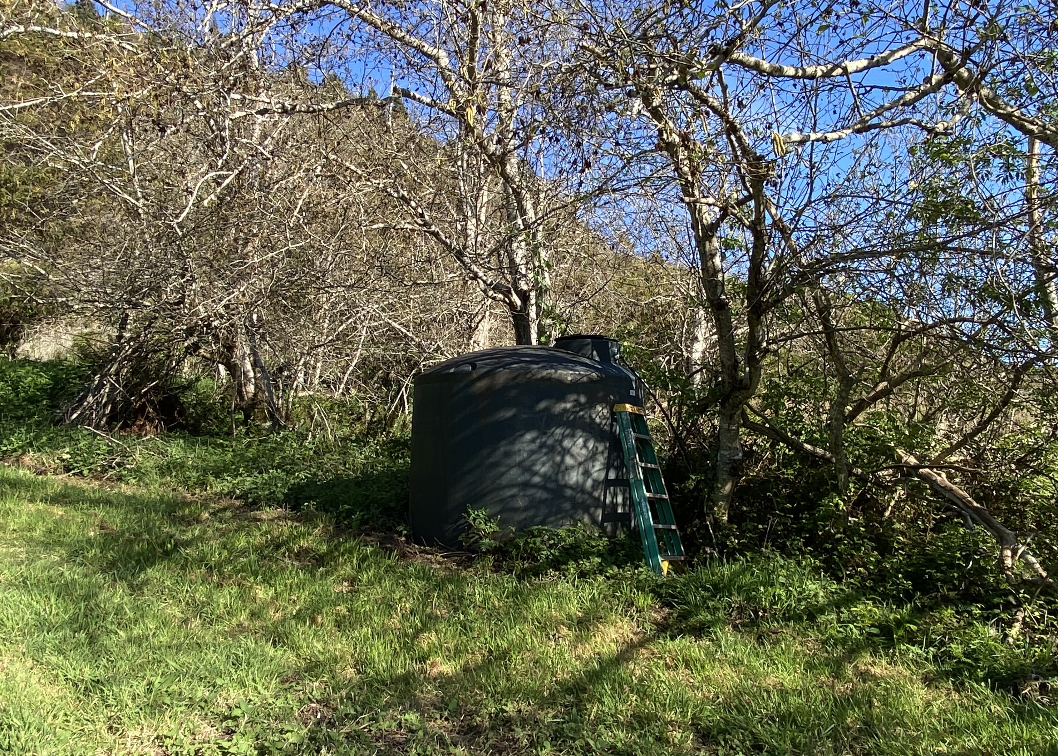  20-Acre Ocean View Parcel - 物件實景