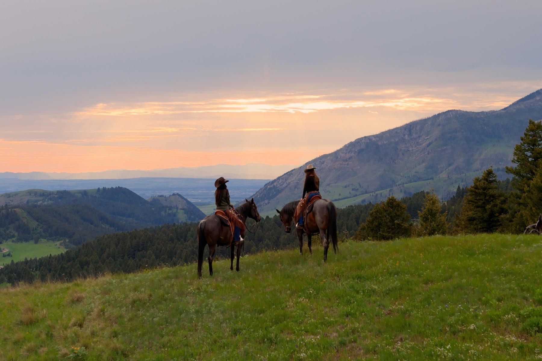  Ranch 12 North Pass Ranches - 物件實景