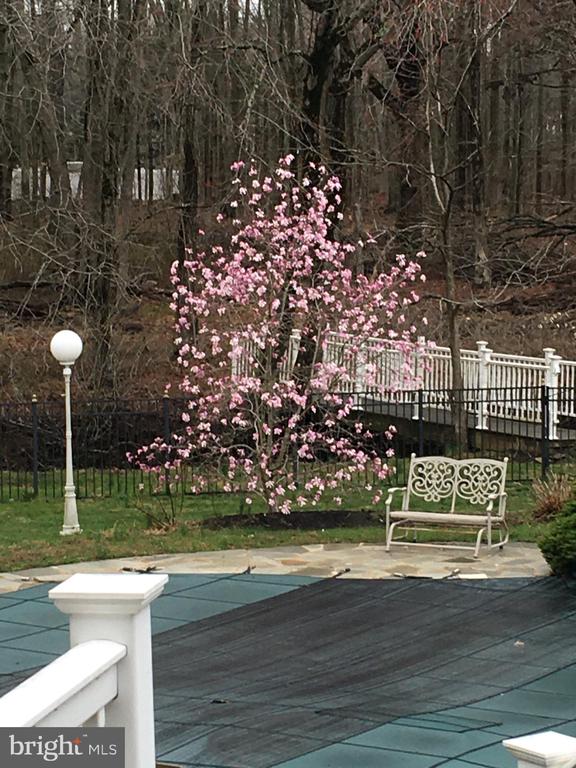 Manalapan, New Jersey, 07726, United States, 4 Bedrooms Bedrooms, ,3 BathroomsBathrooms,Residential,For Sale,1977745