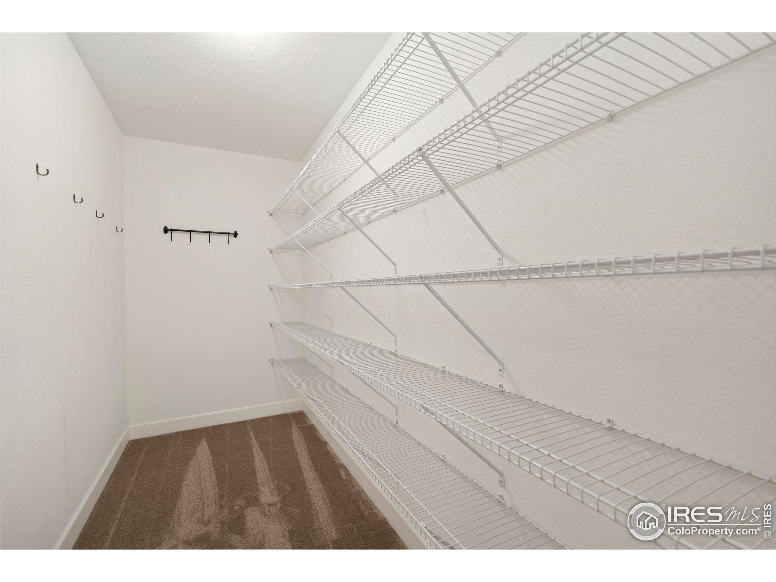 Fort Collins, Colorado, 80528, United States, 4 Bedrooms Bedrooms, ,2 BathroomsBathrooms,Residential,For Sale,1940904