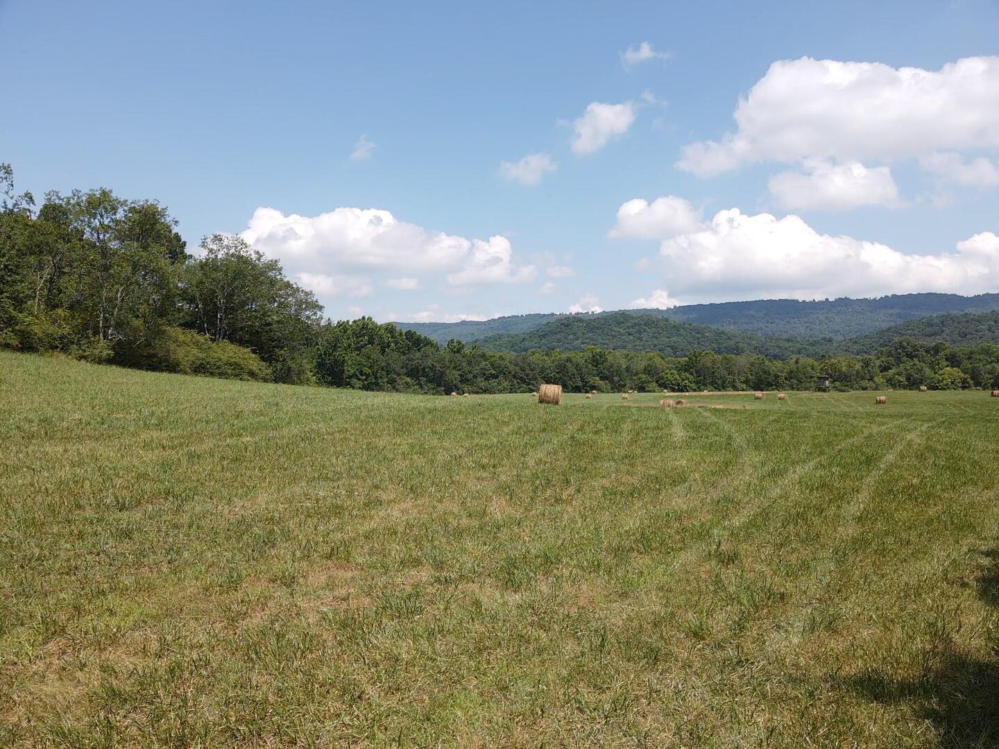 Bryant, Alabama, 35958, United States, ,Land,For Sale,1982684