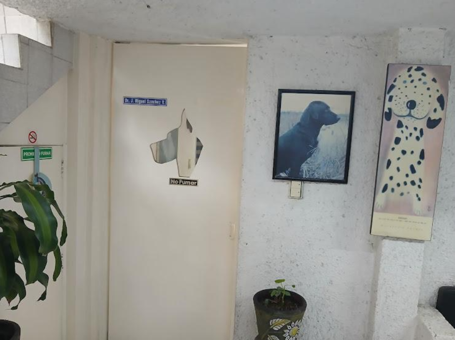Coyoacán, Ciudad de México, 04200, Mexico, 4 Bedrooms Bedrooms, ,2 BathroomsBathrooms,Residential,For Sale,1916889
