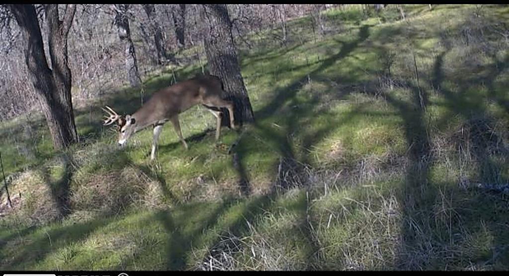 West, Texas, 76691, United States, 3 Bedrooms Bedrooms, ,2 BathroomsBathrooms,Residential,For Sale,1982487