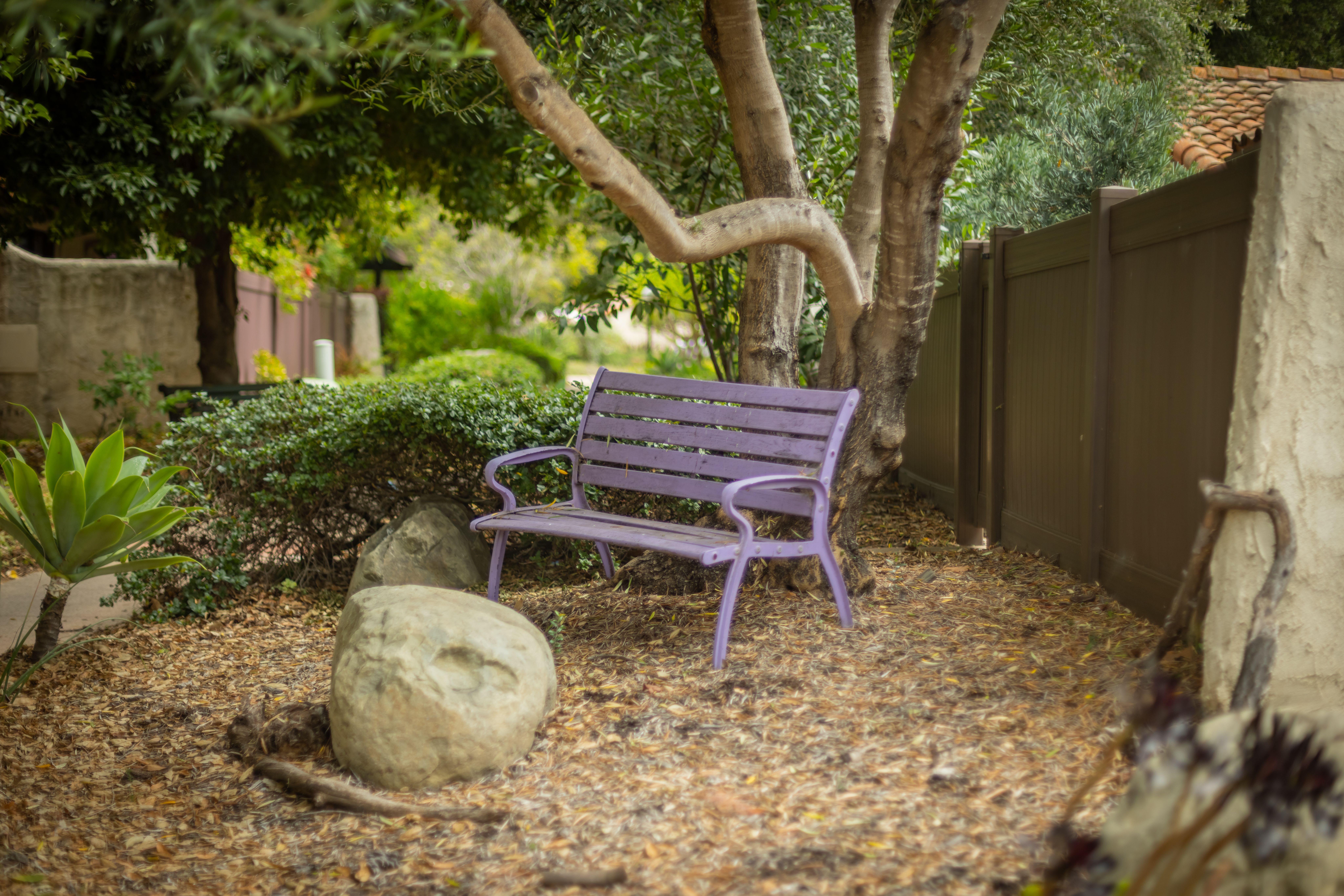  410 Church Road 24, Ojai, CA 93023 - 物件實景