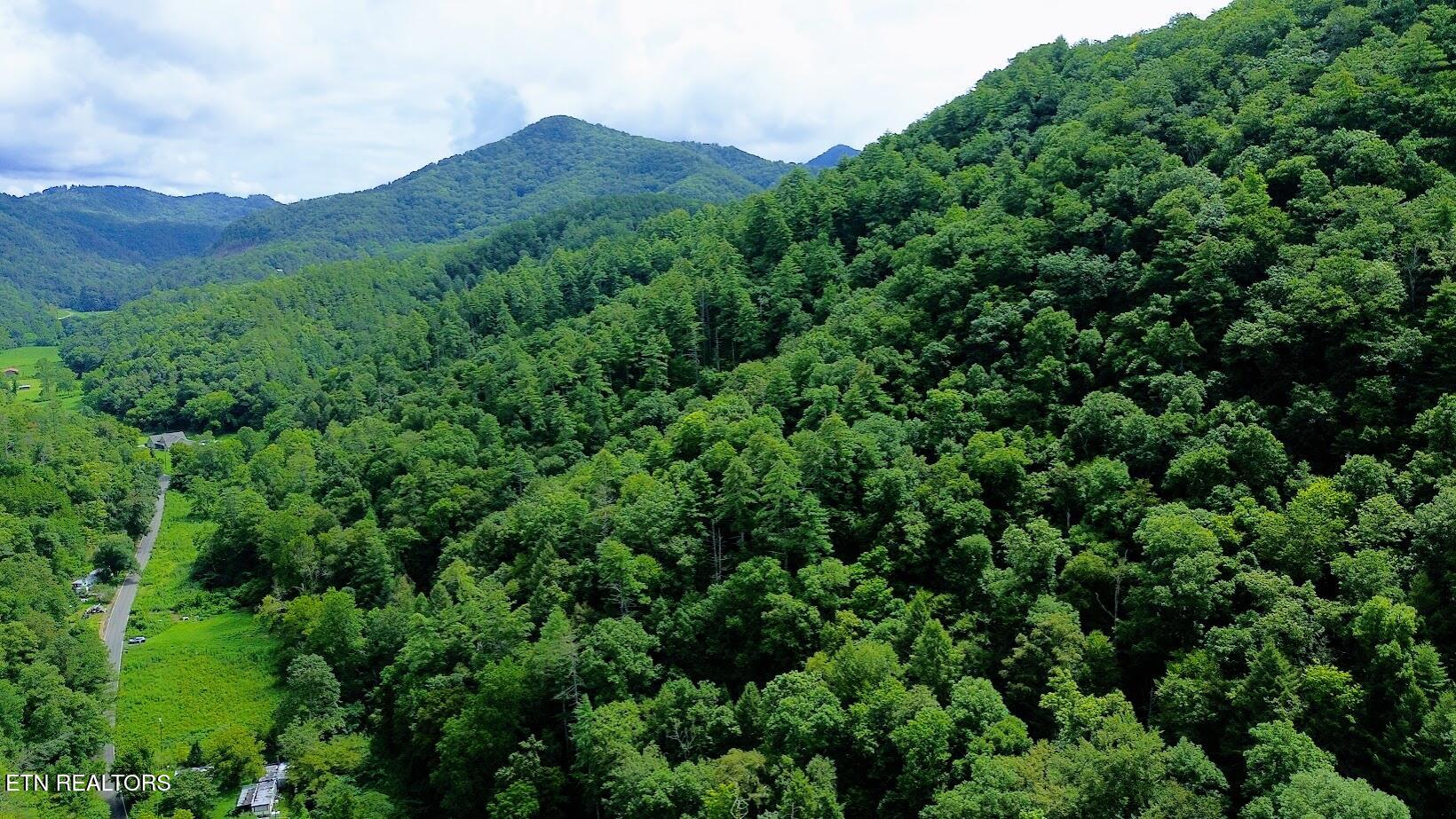 Townsend, Tennessee, 37882, United States, ,Land,For Sale,1978973