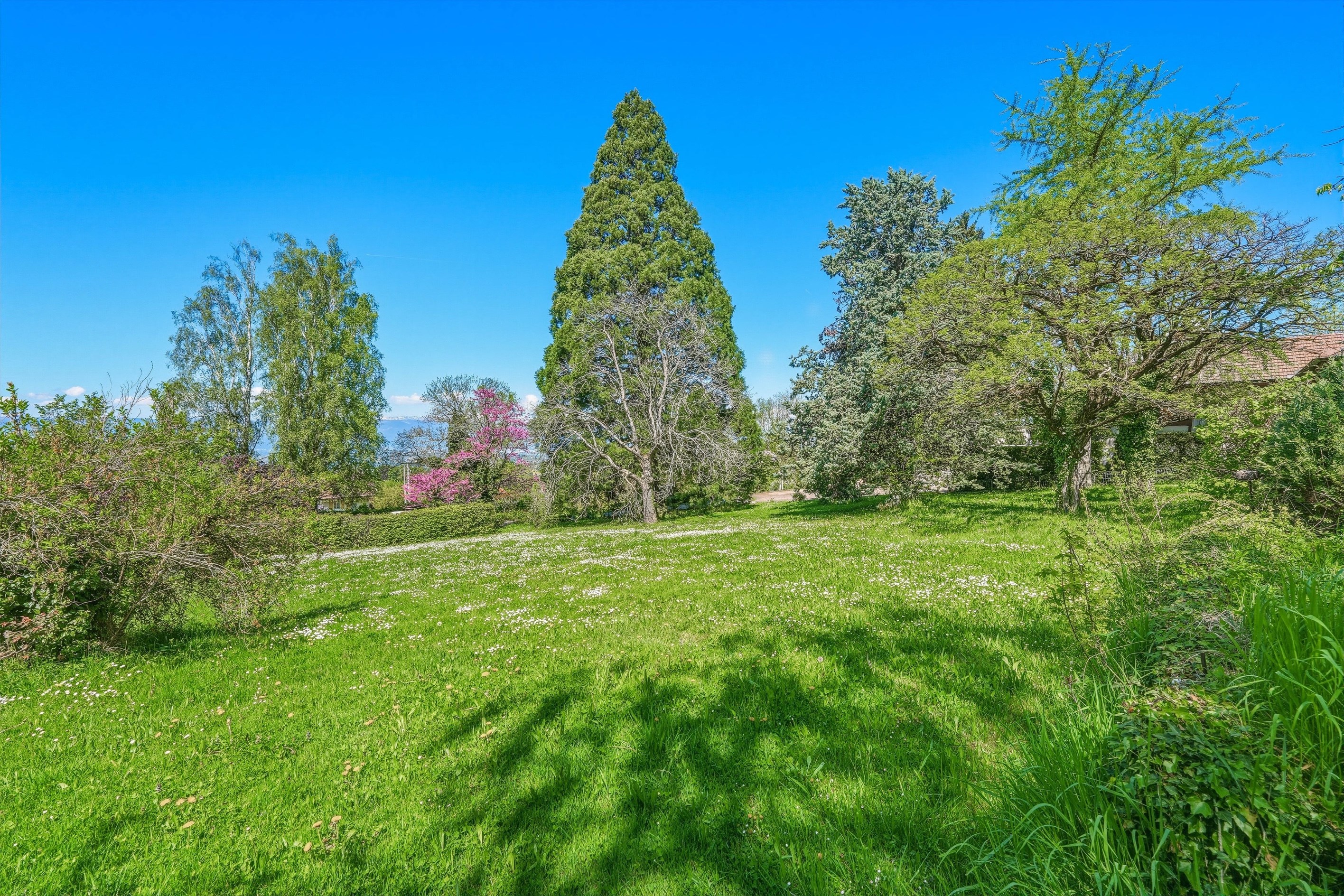  Large property on the Swiss border - 物件實景