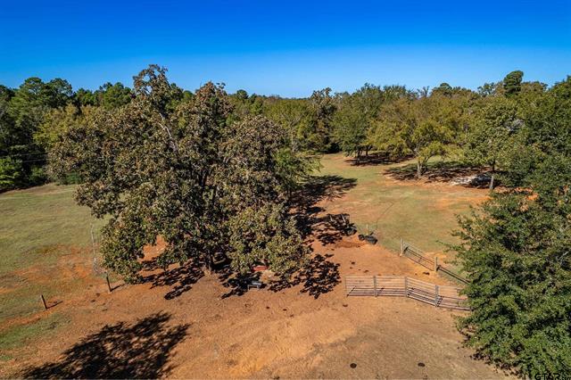 Winona, Texas, 75792, United States, 4 Bedrooms Bedrooms, ,2 BathroomsBathrooms,Residential,For Sale,1995143