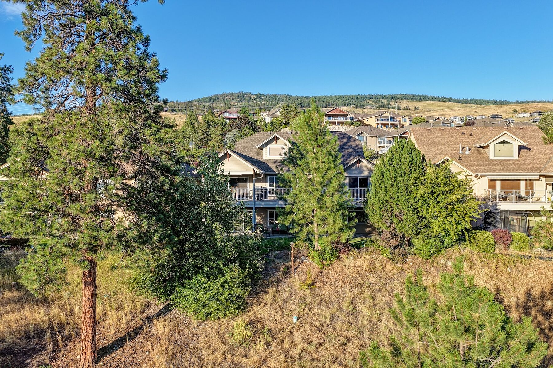  Rare Sunset Ranch Opportunity - 物件實景