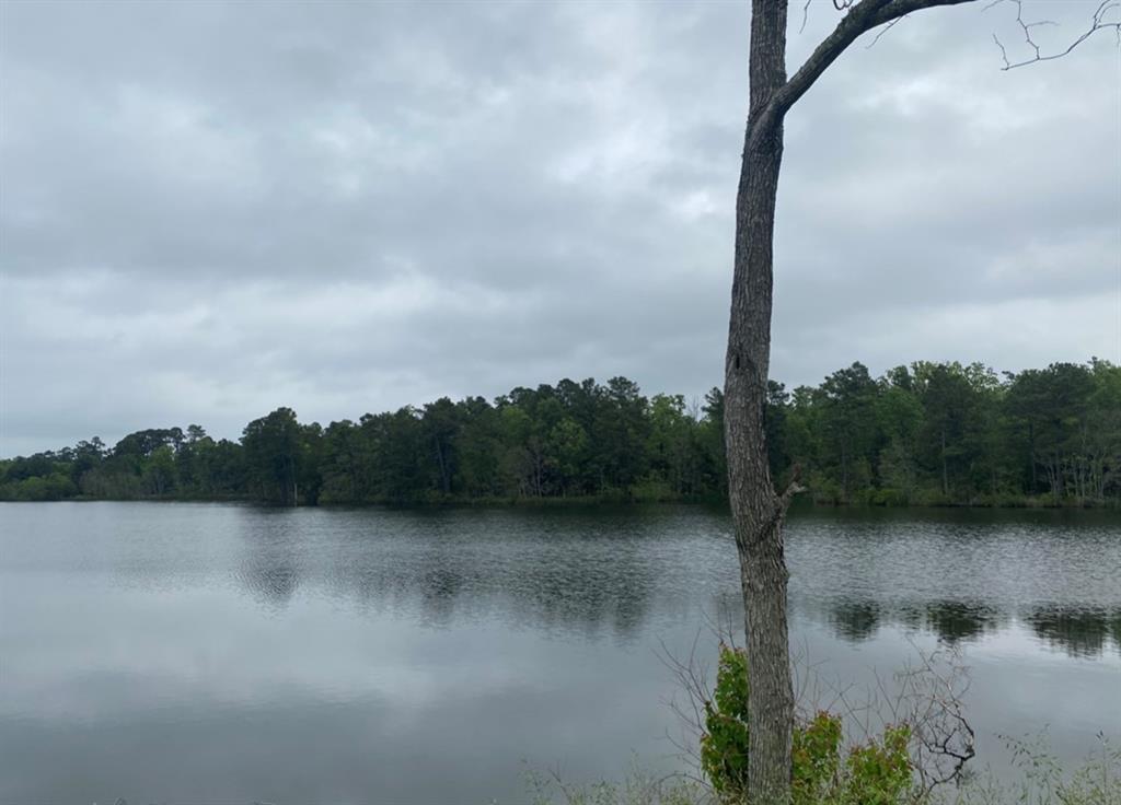 Shreveport, Louisiana, 71119, United States, ,Land,For Sale,2001998