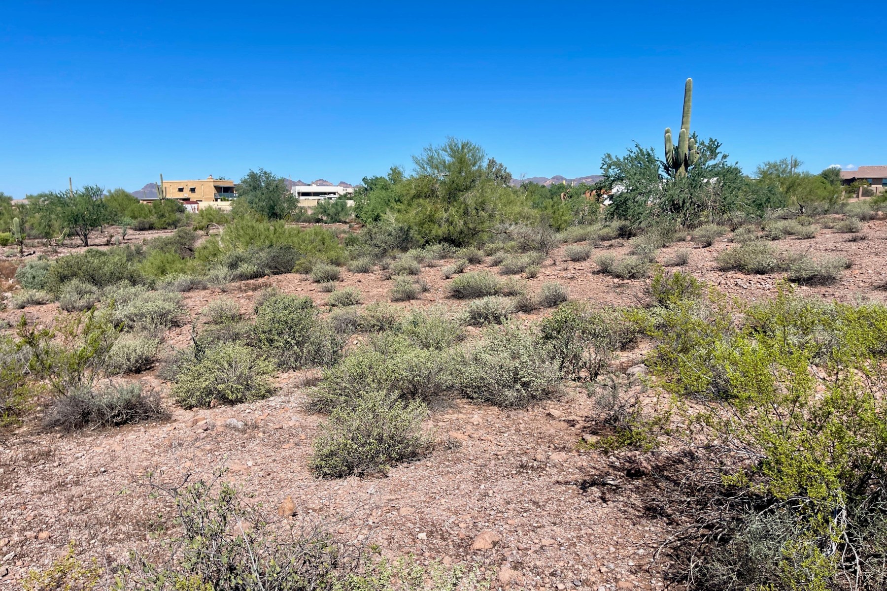  52 E Scenic (geronimo) Street¦Apache Junction, AZ - 物件實景
