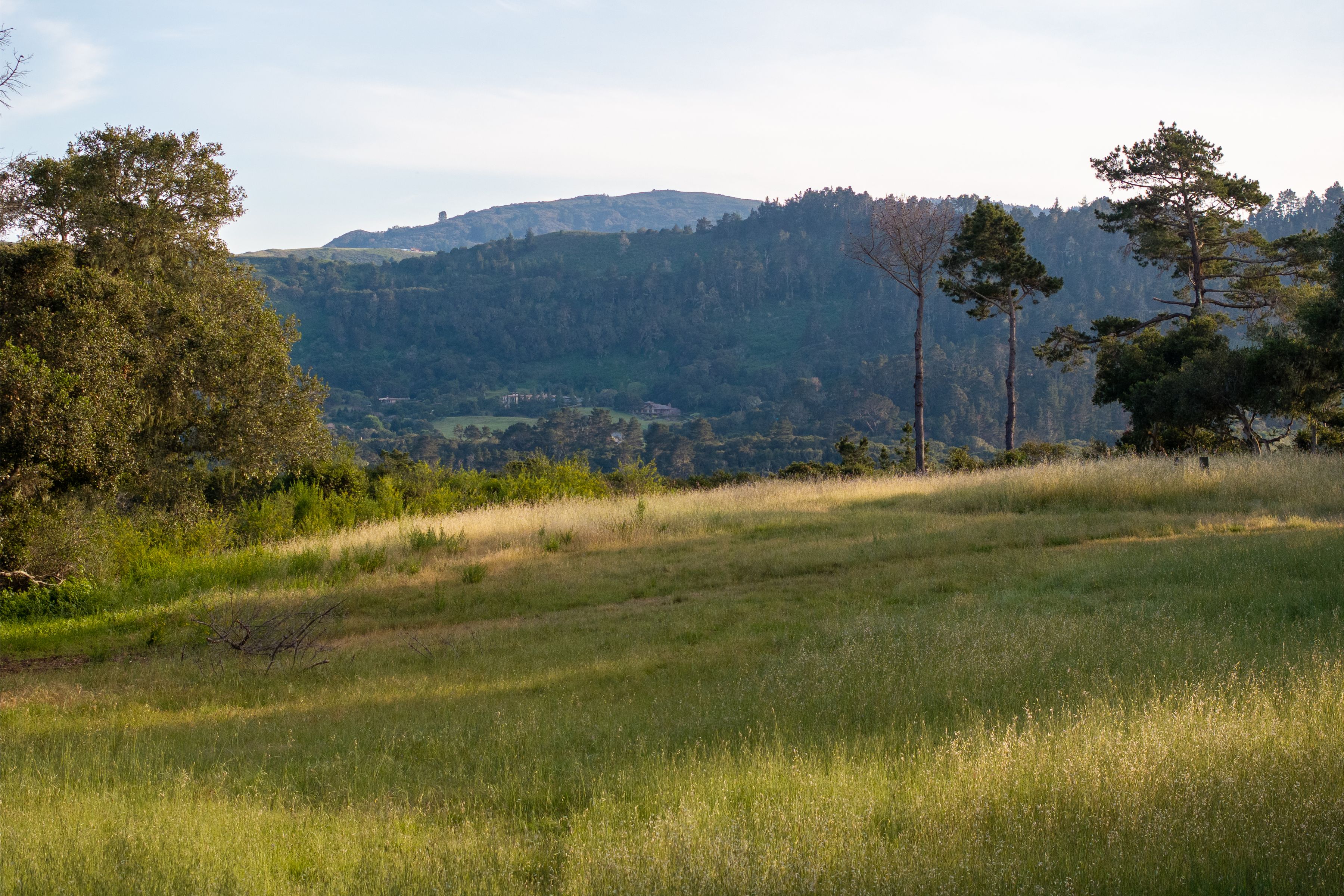 5155 Carmel Valley Road - 物件實景