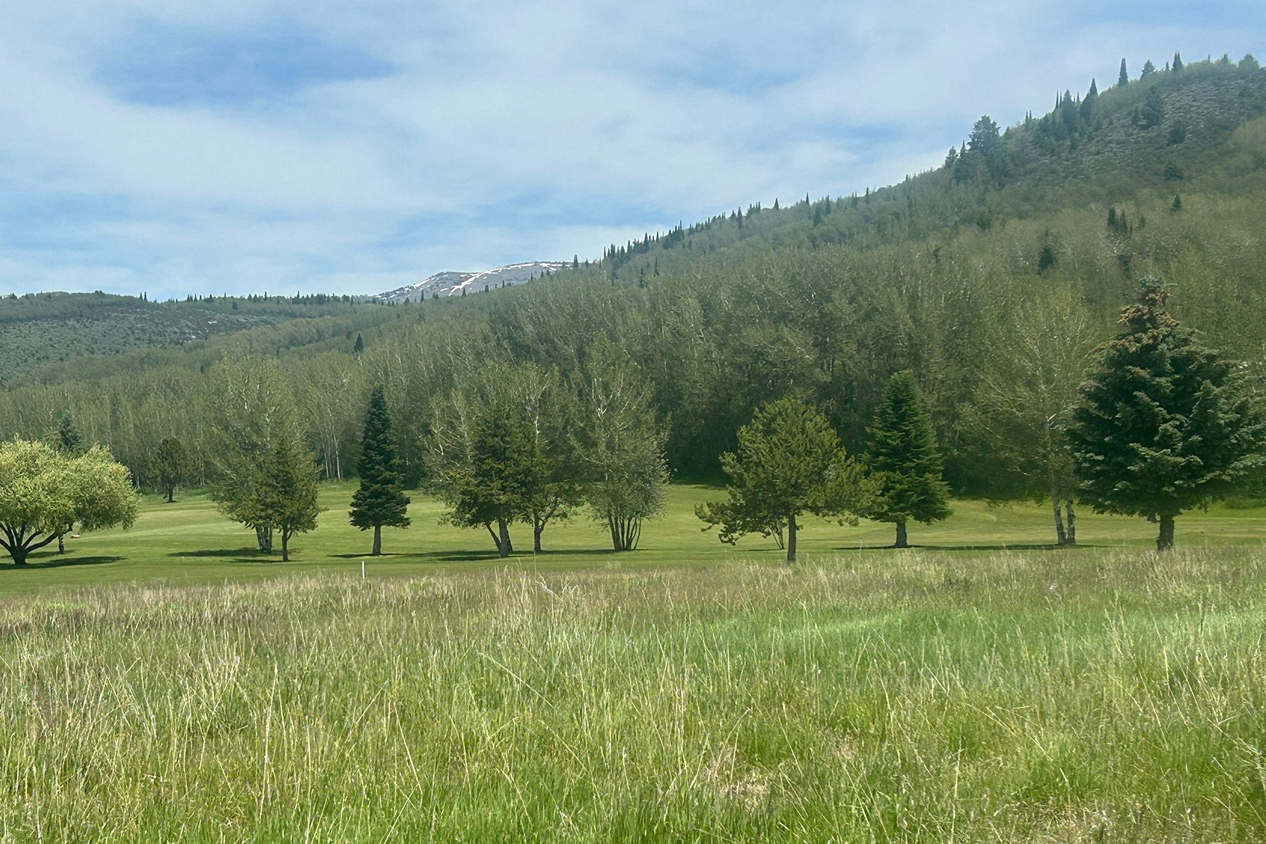  2.9 Acres Site-Alta WY Golf Course - 物件實景