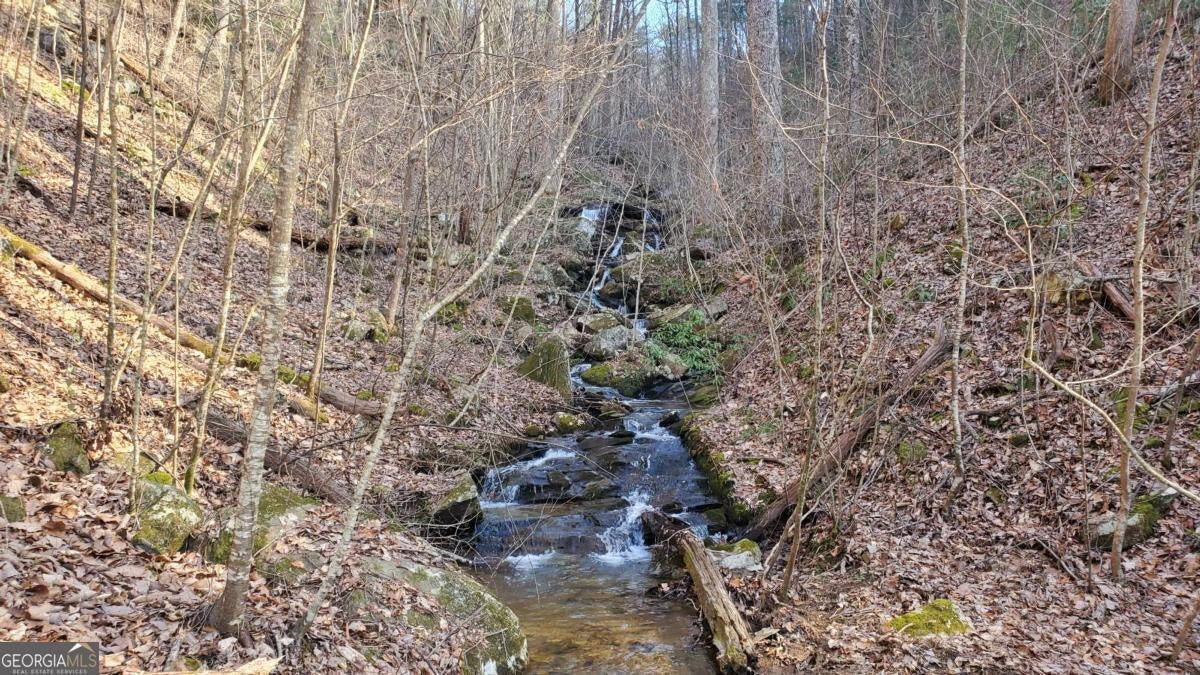 Cherry Log, Georgia, 30522, United States, ,Land,For Sale,1859131