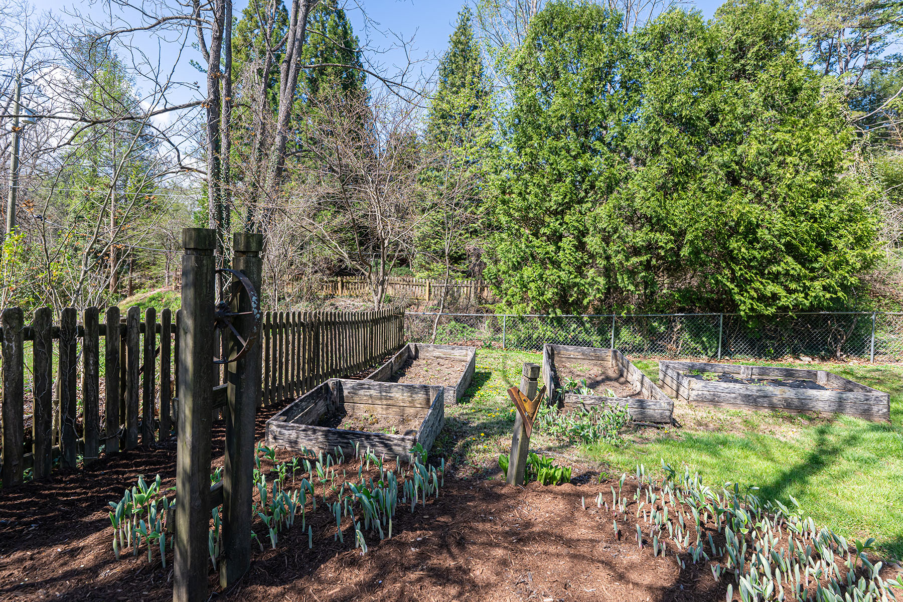  ASHEVILLE - 物件實景