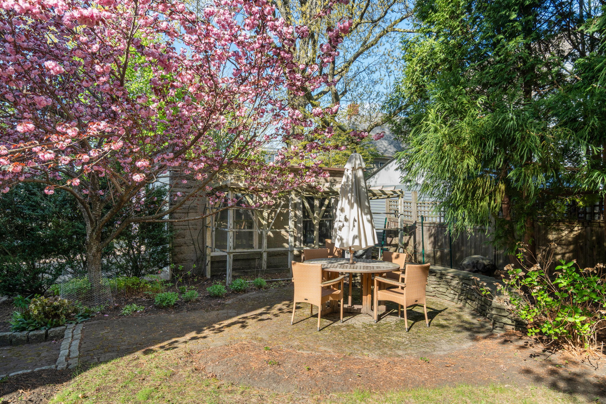  121 Thorndike Street, Brookline, MA, 02446 - 物件實景
