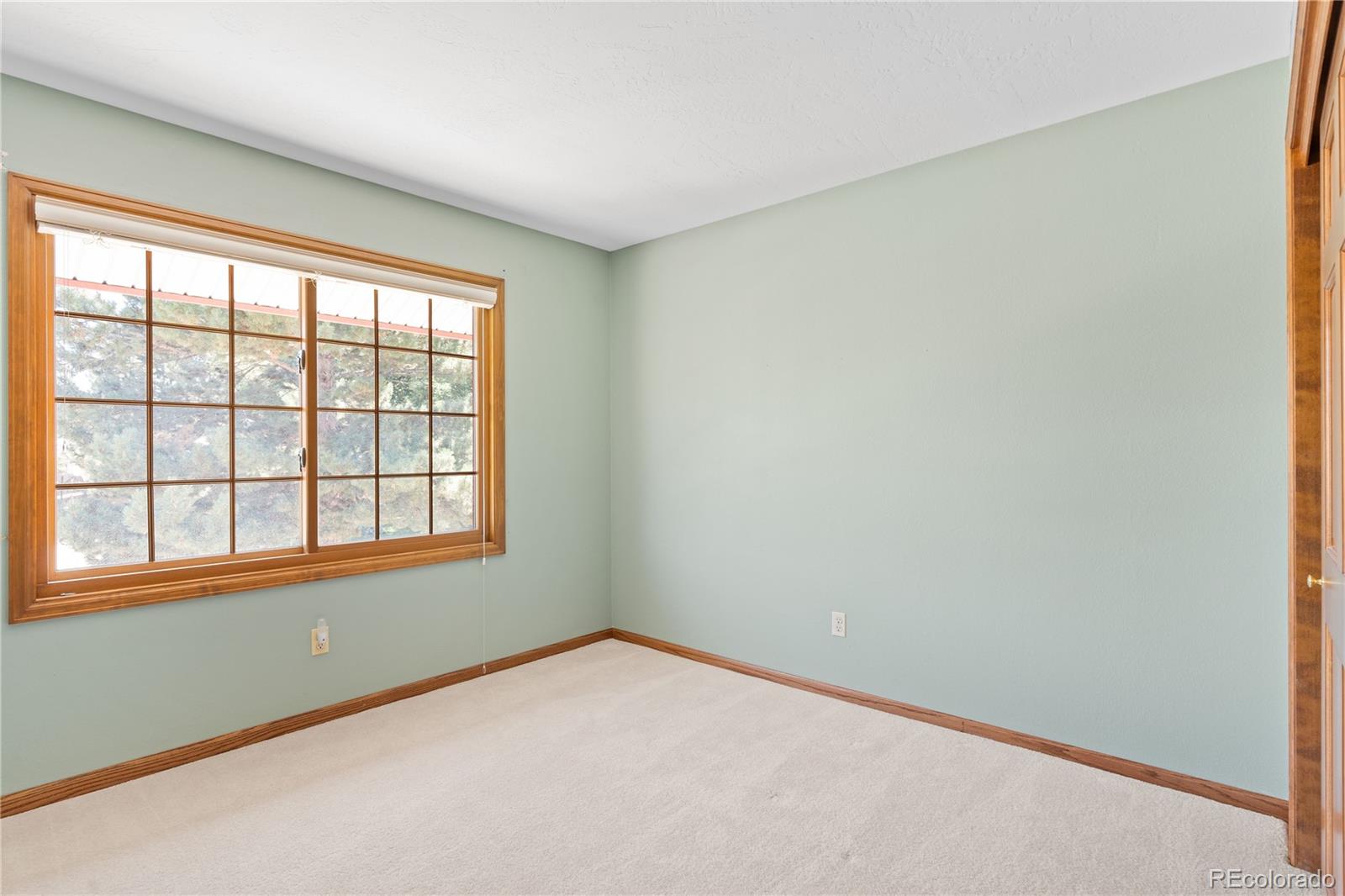 Westminster, Colorado, 80031, United States, 4 Bedrooms Bedrooms, ,3 BathroomsBathrooms,Residential,For Sale,1917918