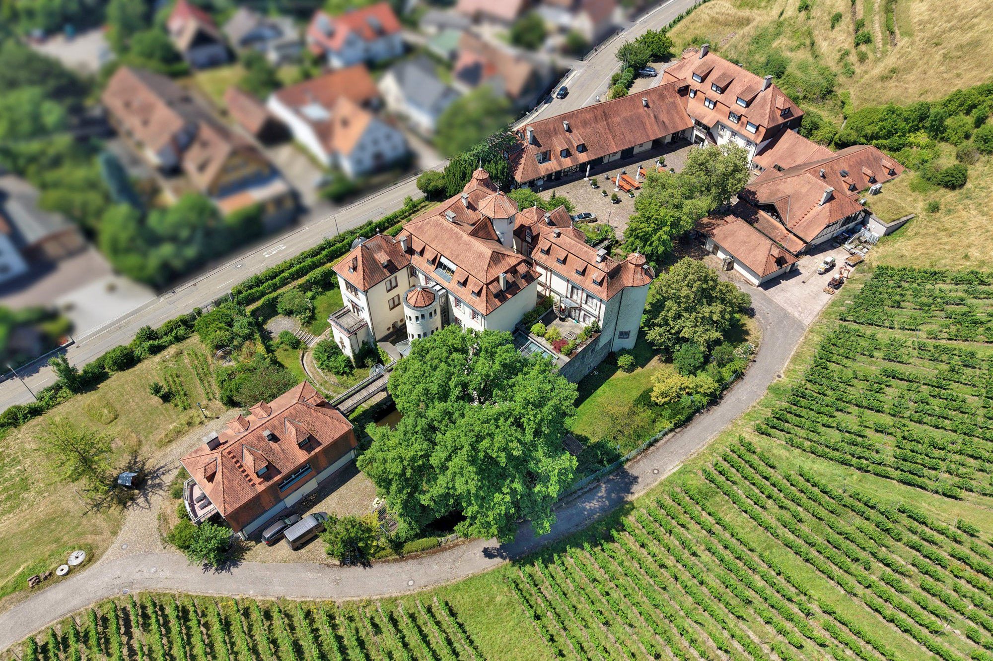  Neuweier Castle - Living and Working on a Historic Winery Estate - 物件實景