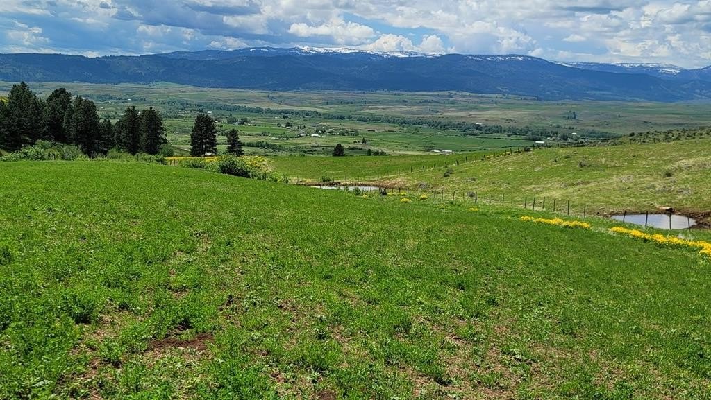 Council, Idaho, 83612, United States, 3 Bedrooms Bedrooms, ,2 BathroomsBathrooms,Residential,For Sale,1980798