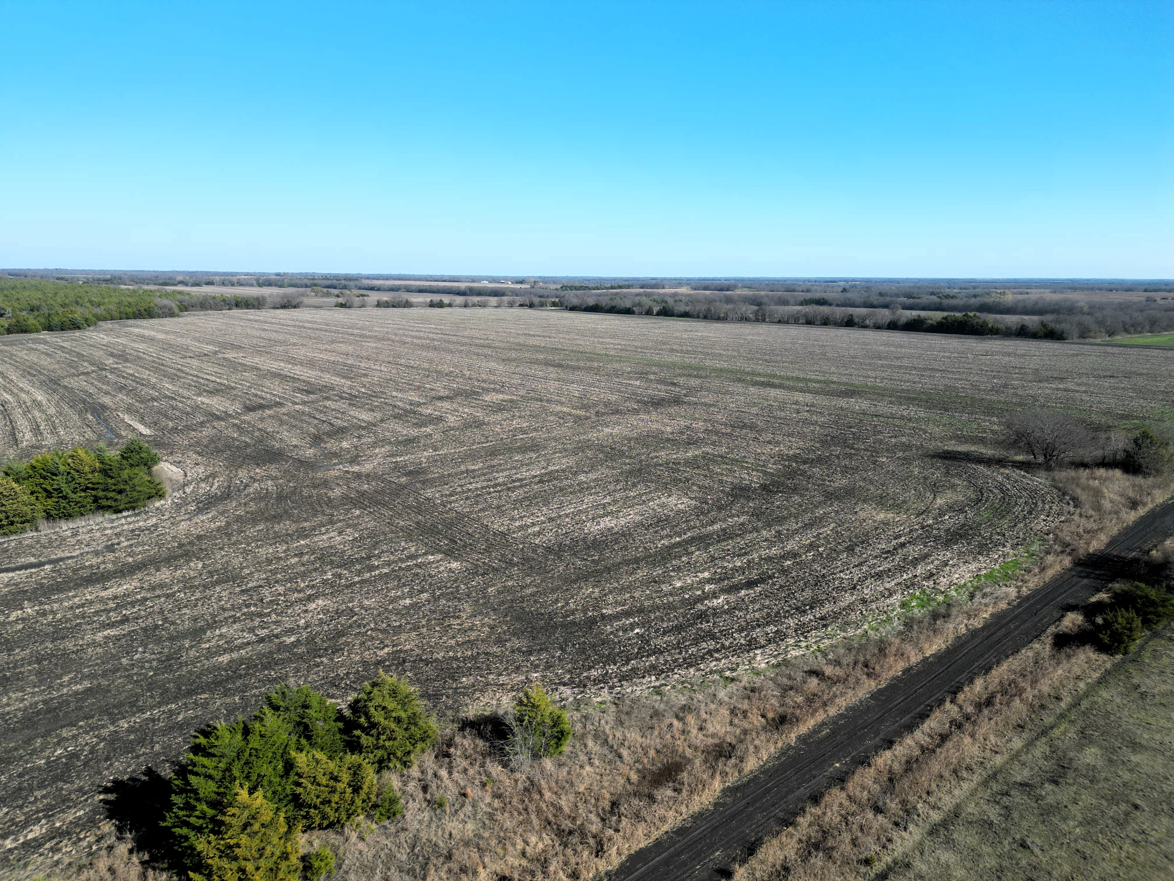 Commerce, Texas, 75428, United States, ,Land,For Sale,2001483