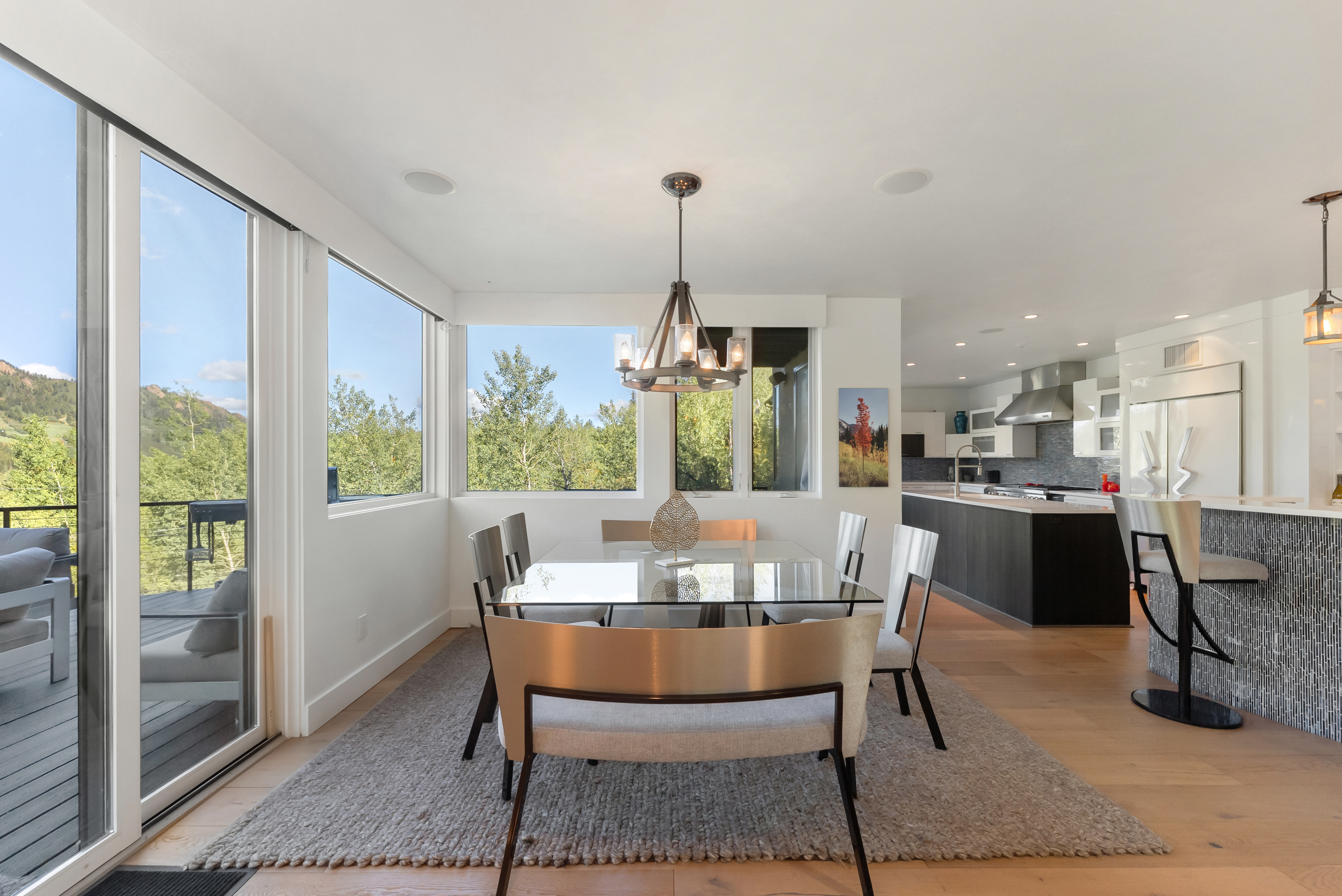  257 Mountain Laurel Drive, Aspen, CO, 81611 - 物件實景